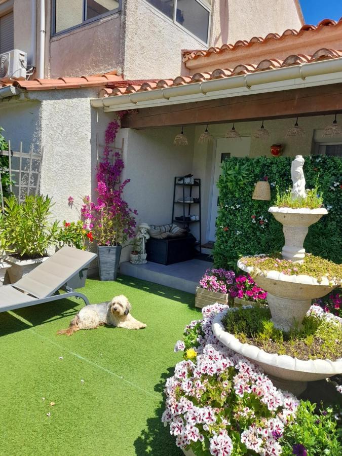 Appartement Les Pieds Dans L'Eau à Sainte-Marie-la-Mer Extérieur photo